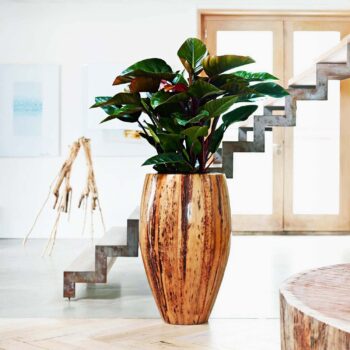 BANANA Bodenvase