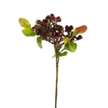 BERRY BRANCH Burgundy