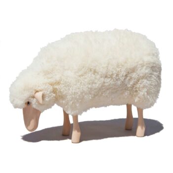 Little sheep grazing with white sheepskin