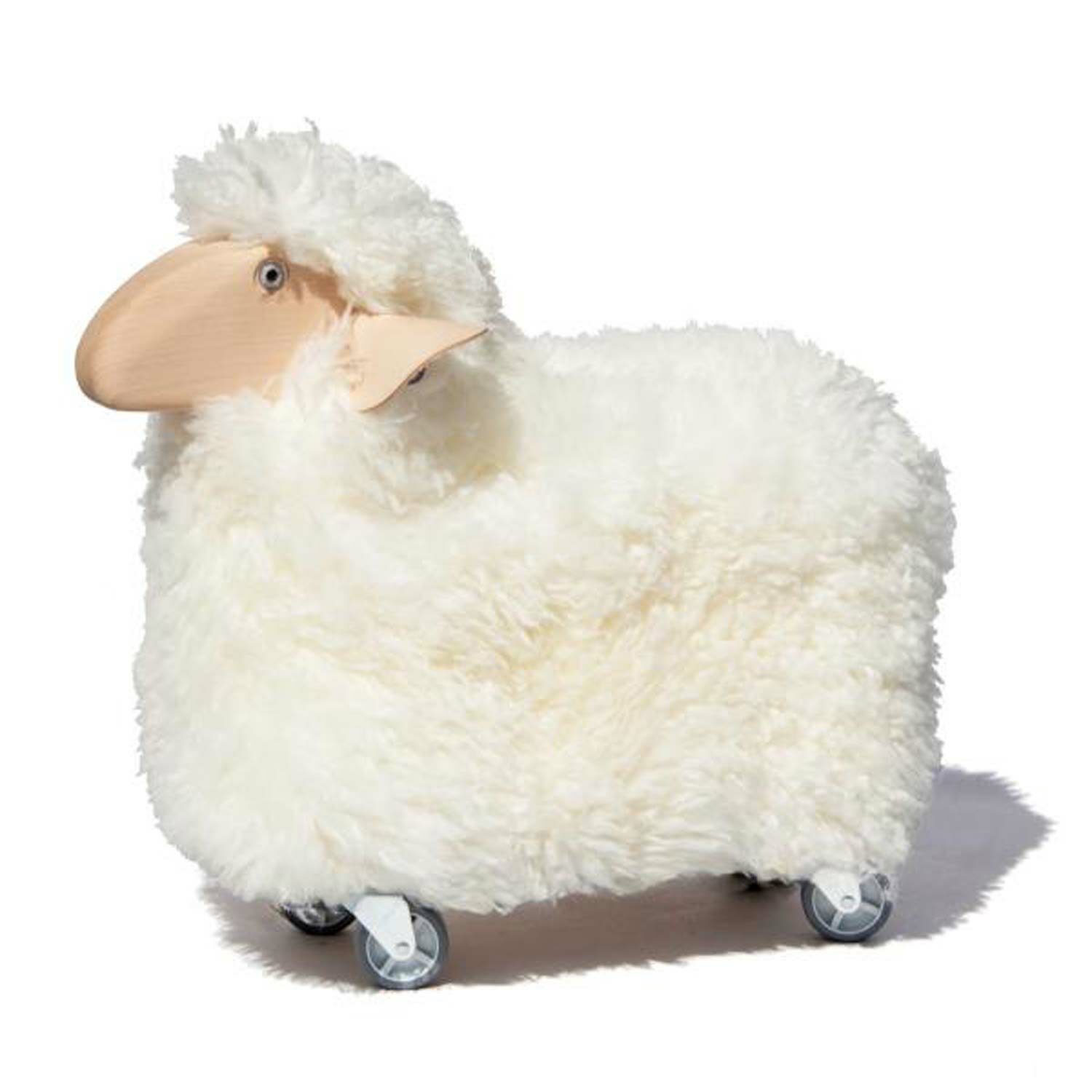 Sheep on rollers white fur